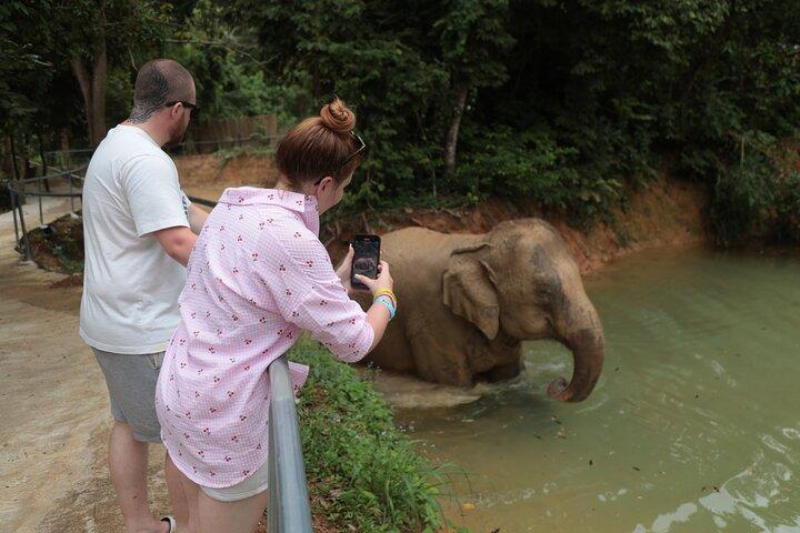 Phuket Elephant Sanctuary Observation and Cooking Class