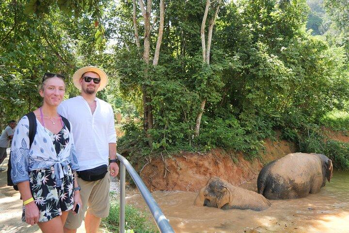 Phuket Elephant Sanctuary Observation and Cooking Class