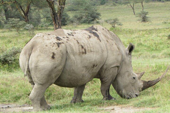 3 days group joining maasai mara tour