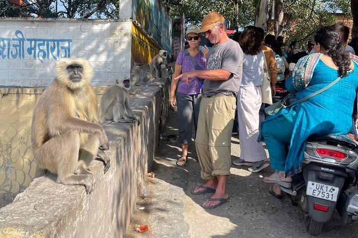 Ashram Tour By Walk in Rishikesh (Private Tour)