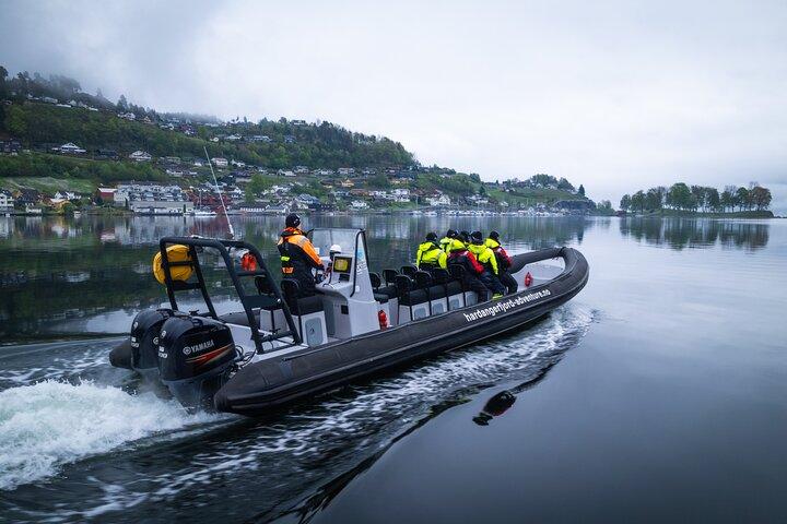 Hardangerfjord RIB Safari to Secluded Fyksesund from Norheimsund