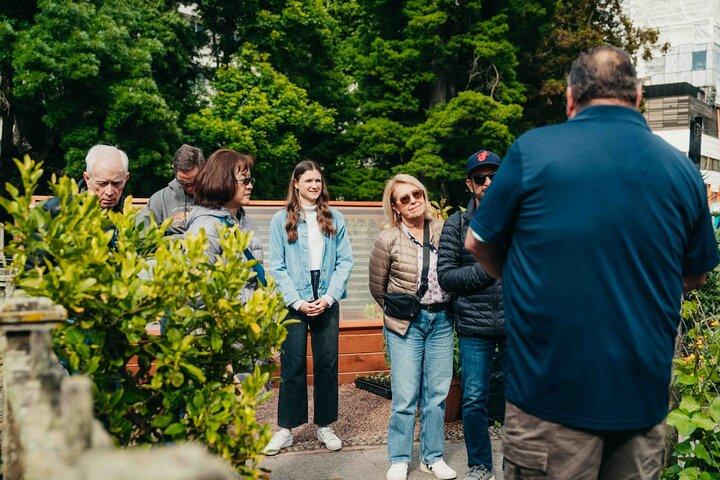Christchurch City Top Sights Half Day Tour(Small Group Tour)