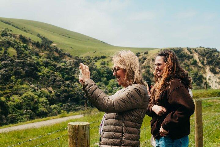 Christchurch City Top Sights Half Day Tour(Small Group Tour)