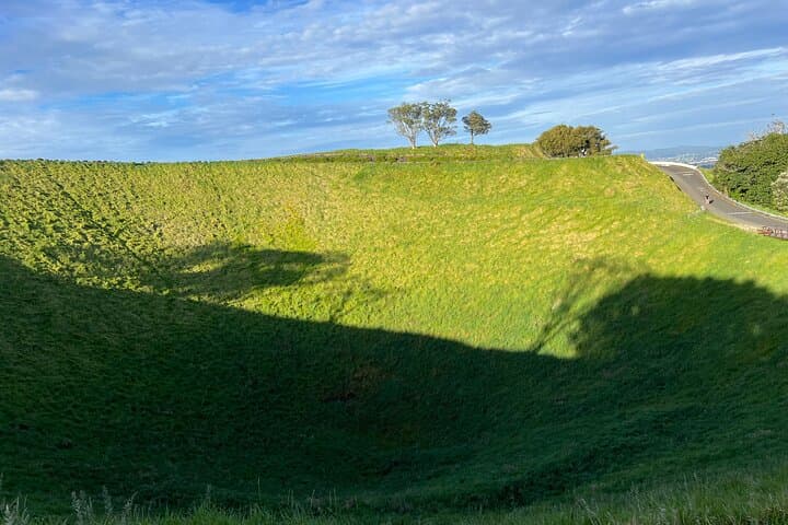 Half-Day AUCKLAND CITY Highlights Tour with Hotel Pickup
