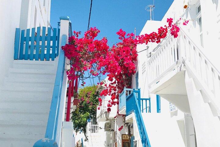 Mykonos Private Island Tour In Half Day