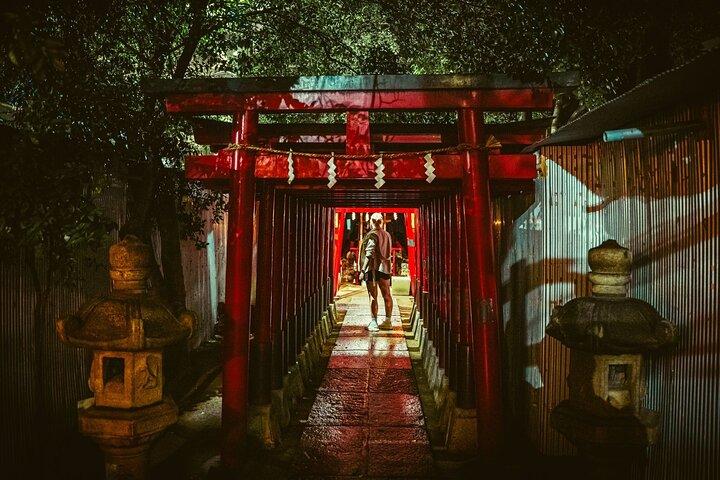 Dynamic Tokyo Private Custom Walking Tour
