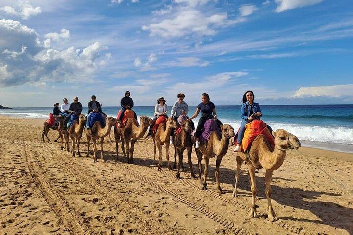 Tangier : Guided City Tour Around Main Points of Interest