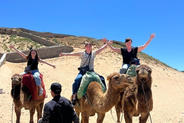 Exclusive Full Day Private Tour of Tangier