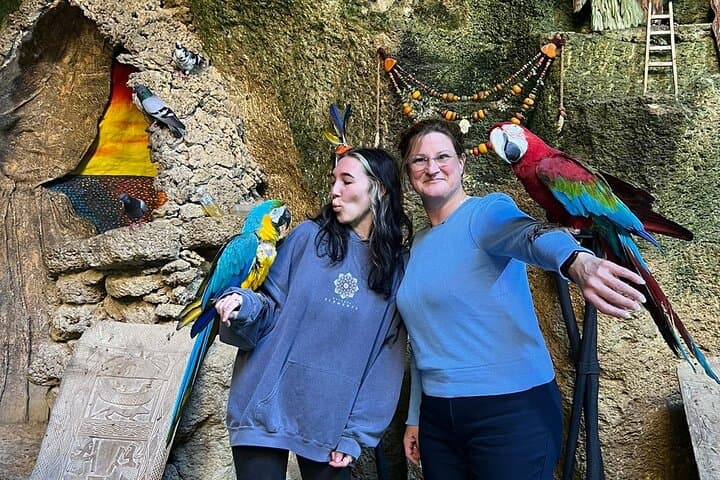Exclusive Full Day Private Tour of Tangier