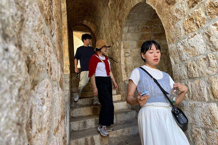 Dubrovnik: Old Town & City Walls Tour with Optional DU Pass