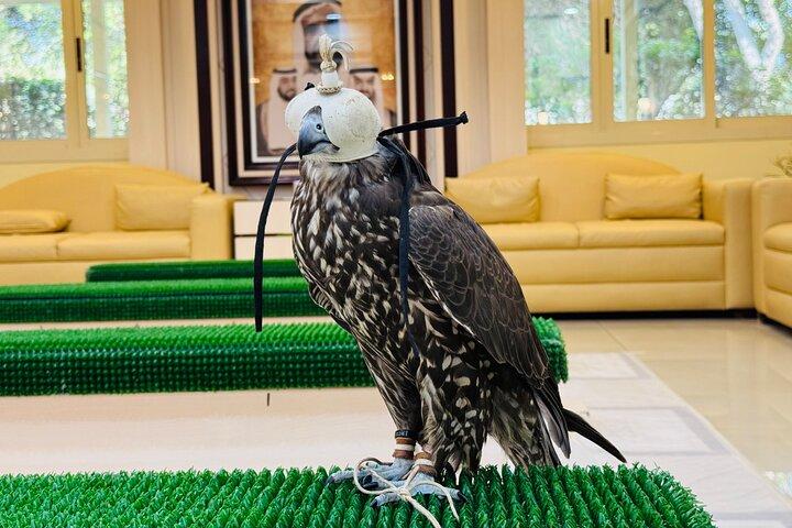 Falcon Hospital Tour with Transportation