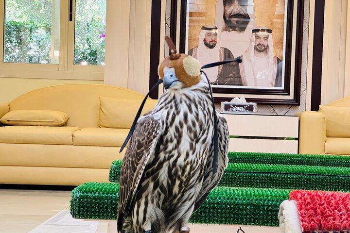 Falcon Hospital Tour with Transportation