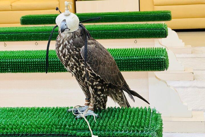 Falcon Hospital Tour with Transportation