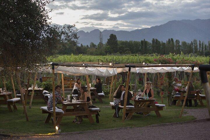Visit Kaiken Winery with Lunch at Francis Mallmann