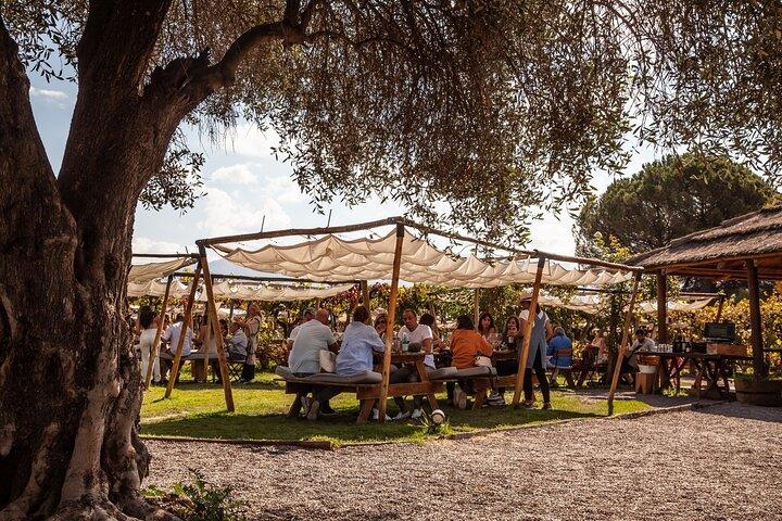 Visit Kaiken Winery with Lunch at Francis Mallmann