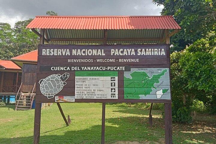 4-Day Amazon Wildlife Tour in Pacaya Samiria National Reserve from Iquitos, Peru