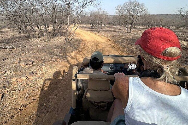 Jaipur to Ranthambore Day Trip with Tiger Safari