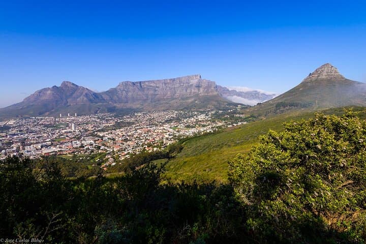Private Half-Day Sightseeing in Cape Town with a local