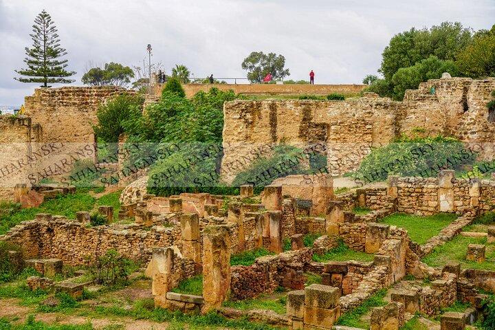 Carthage, Bardo Museum, Sidi Bou Said and Medina Private Day Tour