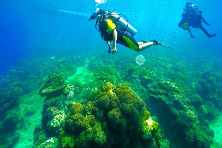 Phuket Scuba Diving: Racha Island Or Maiton Island For All Levels