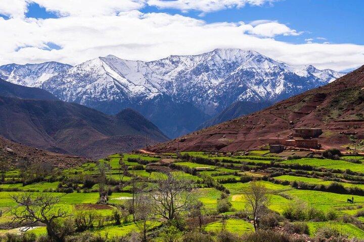 Atlas mountains Waterfalls and 3-Valleys & Ourika Valley