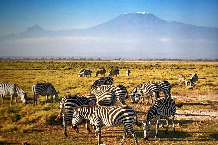 Two Days Amboseli National Park Safari