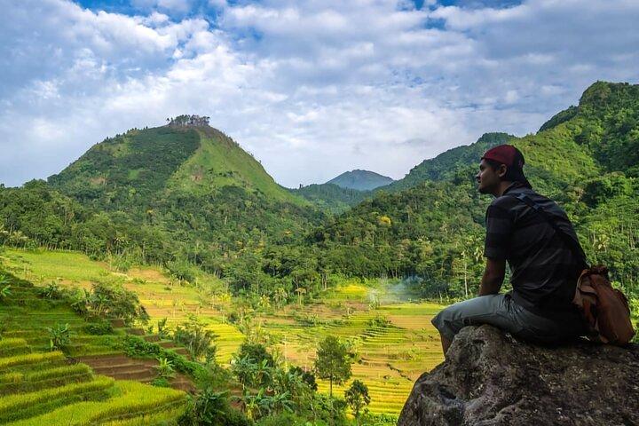 Hidden Waterfall & Selogriyo Rice Terraces Trek from Yogyakarta