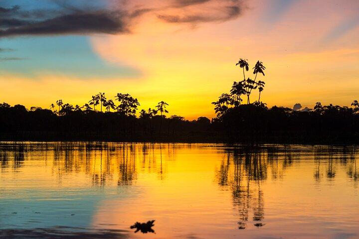 Iquitos: Reserve Pacaya Samiria - 4 Days Deep inside the Amazon