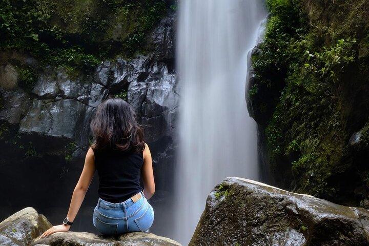 Hidden Waterfall & Selogriyo Rice Terraces Trek from Yogyakarta
