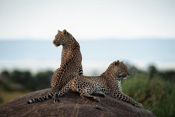 3 Days Tanzania Family Safari