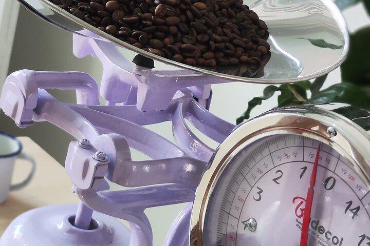 Coffee Tasting Experience in Cali Colombia