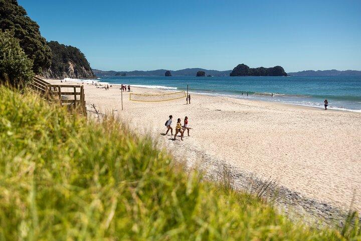 Coromandel Cathedral Cove Walk & Hot Water Beach Day Tour
