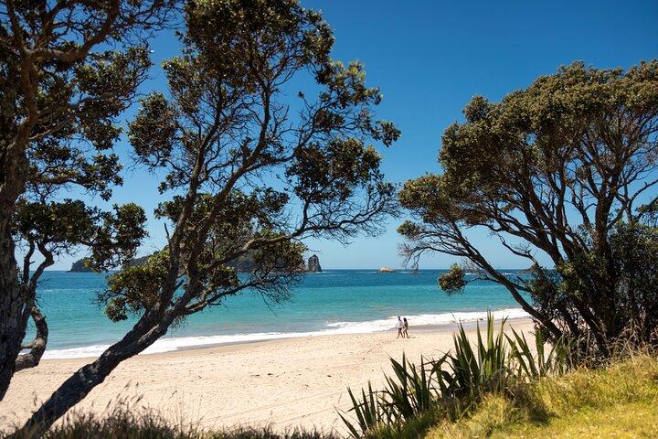 Coromandel Cathedral Cove Walk & Hot Water Beach Day Tour