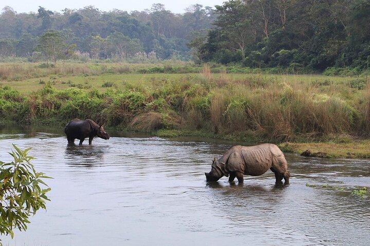 Kathmandu 2 Nights 3 Days Chitwan Jungle Safari Tour