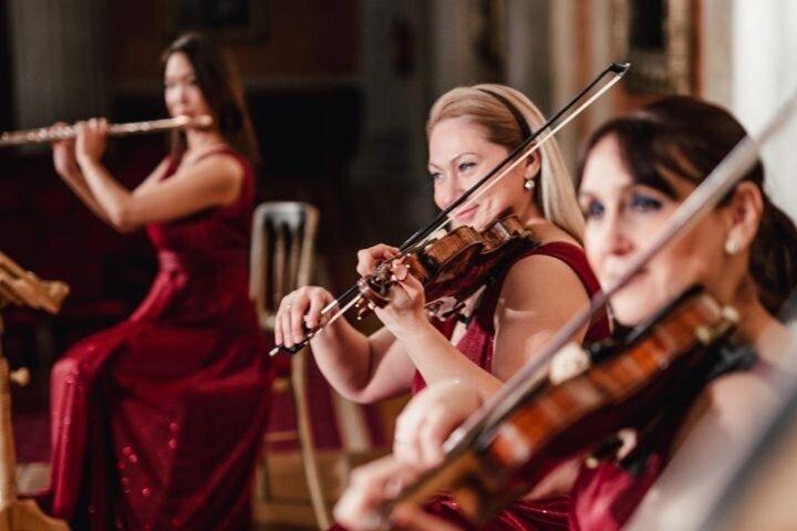 Vienna Classical Concert Mozart and Strauss at Palais Alte Borse