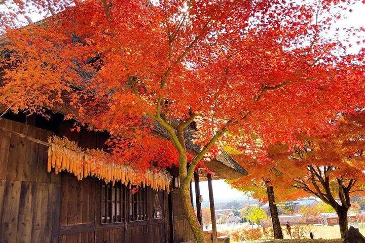 Mount Fuji and Iconic Scenic Spots Day Tour
