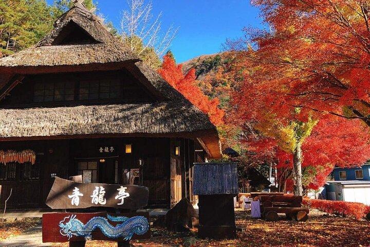 Mount Fuji and Iconic Scenic Spots Day Tour