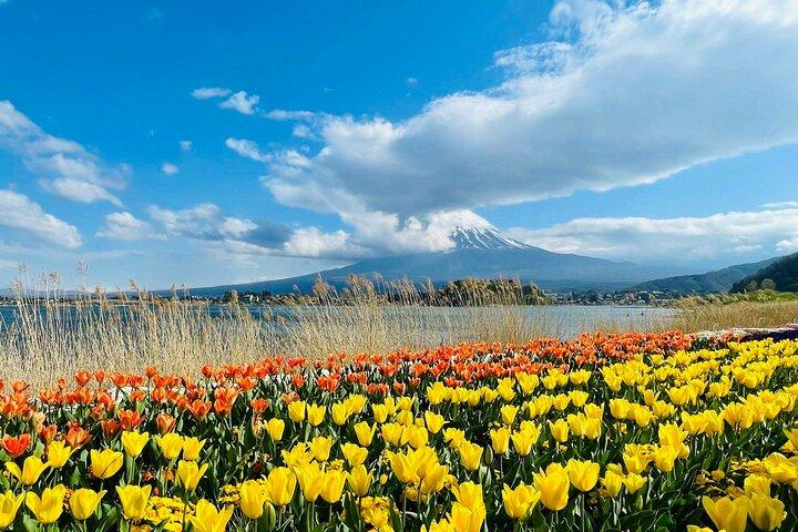 Mount Fuji and Iconic Scenic Spots Day Tour