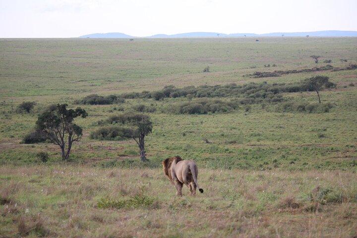 Two-day Kilimanjaro Sighting & Amboseli Safari