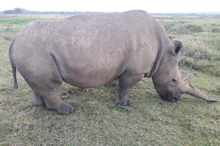 Two-day Kilimanjaro Sighting & Amboseli Safari