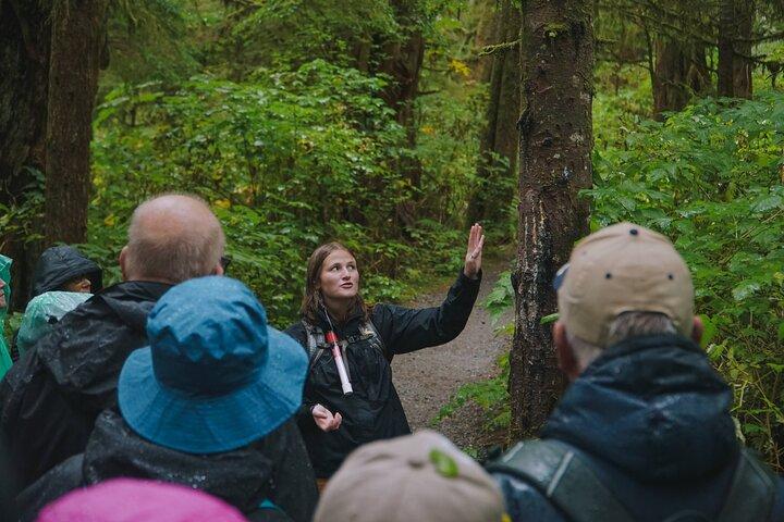 Ketchikan Rainforest Sanctuary and Totem Park