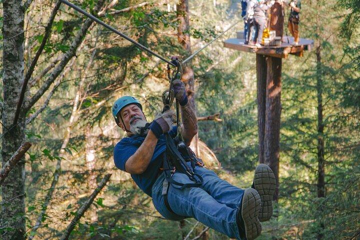 Rainforest Canopy & Zipline Adventure in Ketchikan, AK
