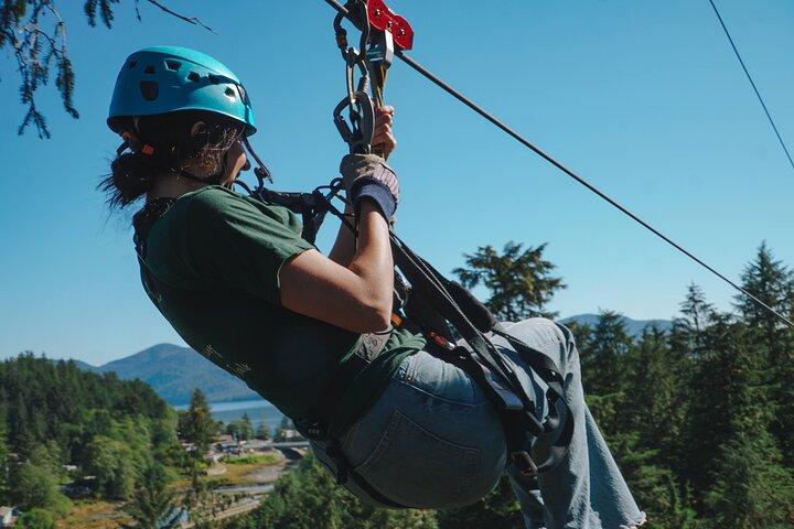 Rainforest Canopy & Zipline Adventure in Ketchikan, AK