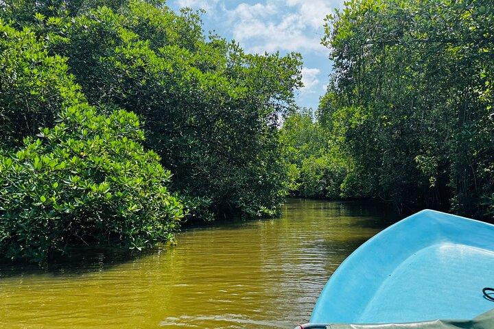 Colombo to Galle All Inclusive Private Day Tour