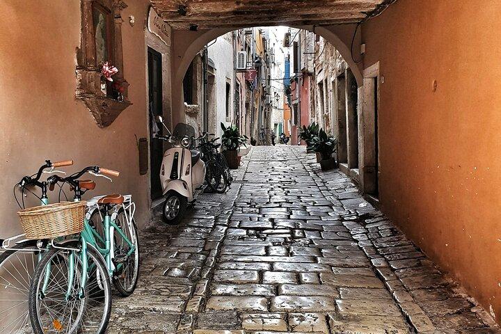 Rovinj private city tour with a local
