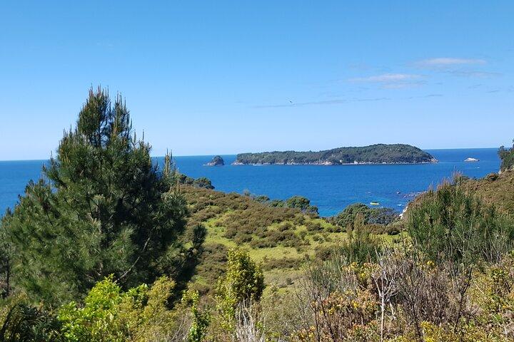 Coromandel Cathedral Cove Walk & Hot Water Beach Day Tour
