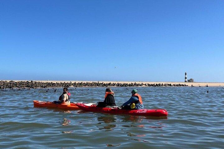 Seal Kayaking & Sandwich Harbour Tour