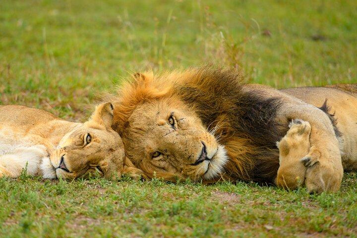 10 Day Bush and Beach Safari in Nairobi