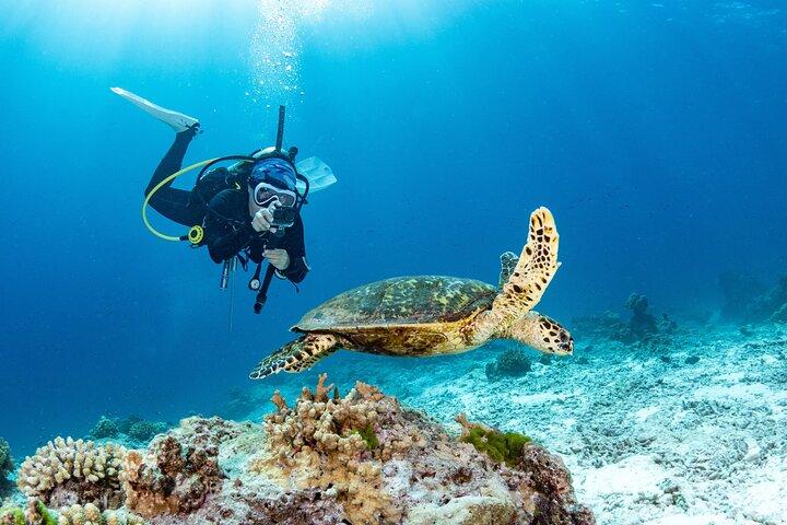 3 Fun Dives in Phi Phi islands for Certified Divers