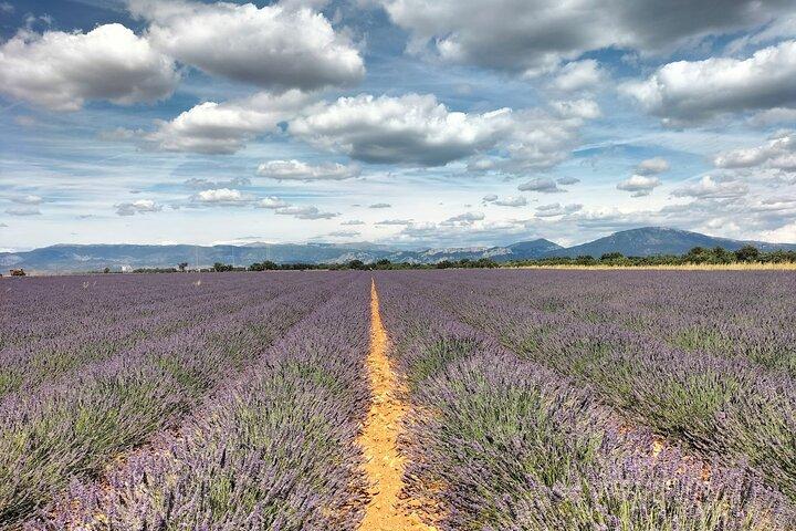 Gorges du Verdon : Lavenders, Canyon Boat Picnic & Villages